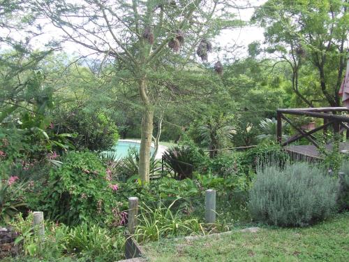 a garden with a tree and many plants at Old Coach Road Guest House in Barberton