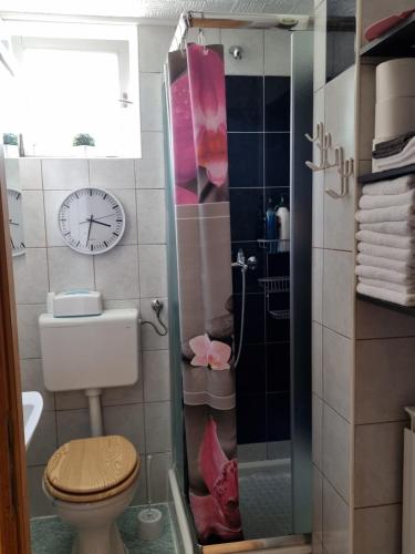 a bathroom with a toilet and a clock on the wall at Holiday Home in Velika Mlaka