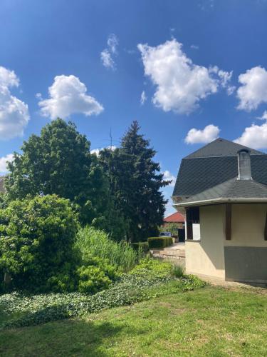 a house with a blue roof and some trees at Apartman De Lux in Nyíregyháza