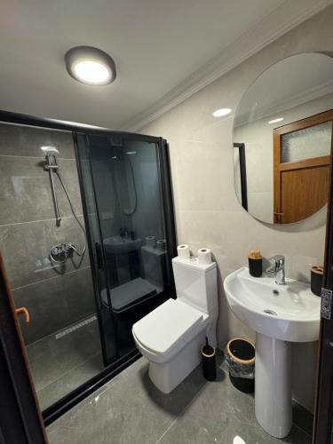 イスタンブールにあるTavra hotelのバスルーム(トイレ、シャワー、シンク付)
