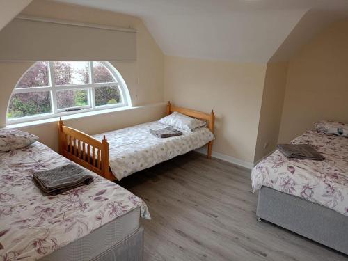 1 dormitorio con 2 camas individuales y ventana en Dublin Palm 2 en Dublín