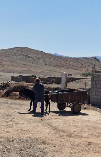 Mężczyzna ciągnący wózek na pustyni. w obiekcie Noé Nomade , chambre privé w mieście Sidi Bou Othmane