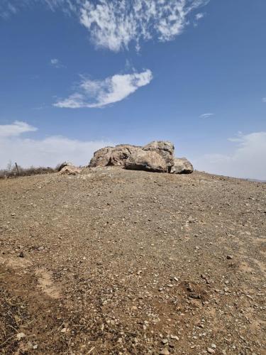 duży kamień siedzący na szczycie pola w obiekcie Noé Nomade , chambre privé w mieście Sidi Bou Othmane