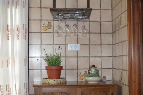 a tiled wall with wine glasses and a plant on a table at Casa Aurora in Teo