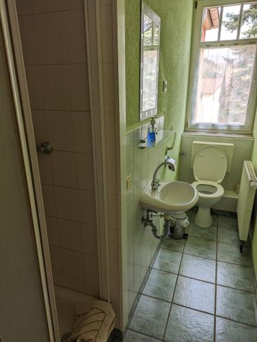 a bathroom with a toilet and a sink at Ferienwohnungen Langer in Stadt Wehlen