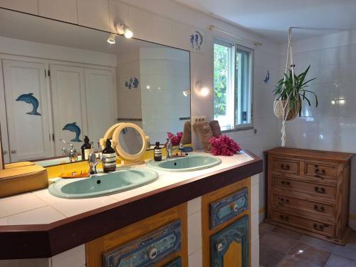 uma casa de banho com 2 lavatórios e um espelho grande em Indawood em Saint Barthelemy