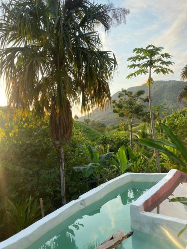 a pool in a resort with a view of the mountains at The Valley Tayrona hostel- A social jungle hostel in El Zaino