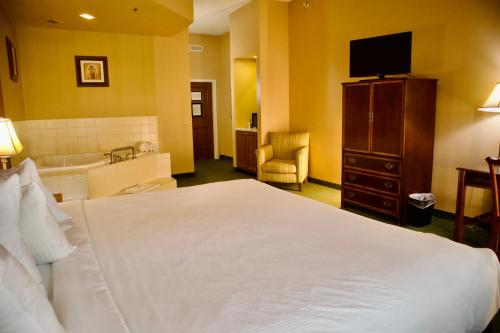 a hotel room with a bed and a bath tub at Hotel Mead Resorts & Conventions Center in Wisconsin Rapids