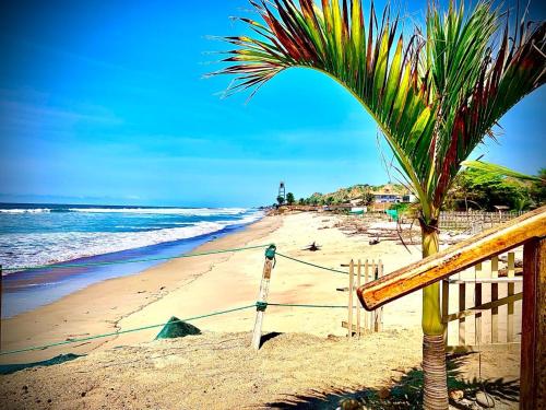 una palmera en una playa de arena con el océano en Mazama Casa de playa, en Bocapán