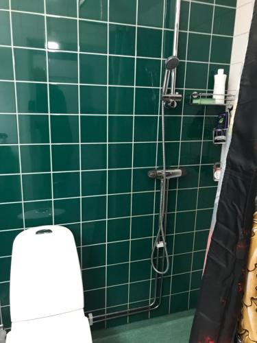 a green tiled bathroom with a toilet and a shower at Högst upp med balkong i söderläge in Stockholm