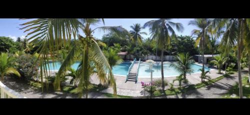 a view of a swimming pool with palm trees at Coconut village in El Zapote