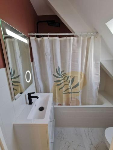 une salle de bain avec un lavabo et un rideau de douche dans l'établissement Le charmant de Lourmel appartement de 30m2 au calme, à Pontivy