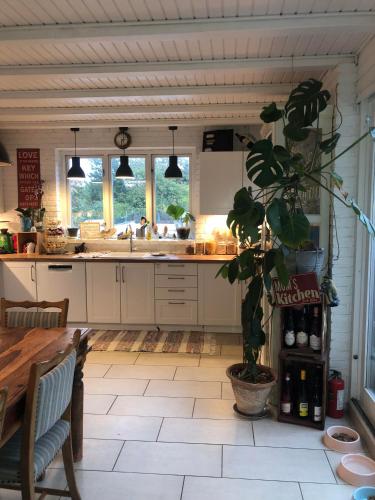 a kitchen with a table and a plant in a room at Køge Bed & Kitchen in Køge