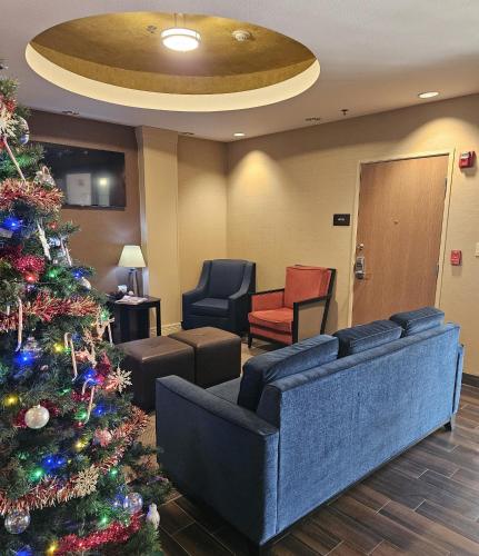 a christmas tree in a waiting room with a couch and chairs at Comfort Inn & Suites Donna near I-2 in Donna
