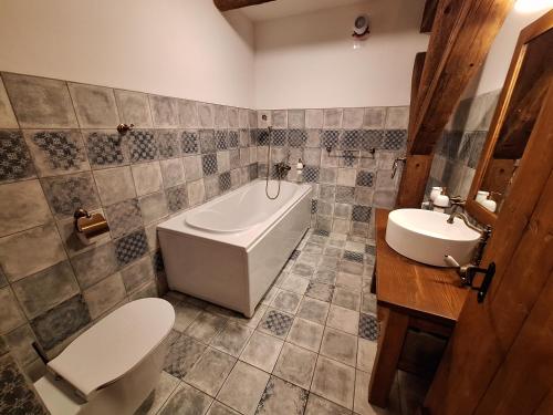 a bathroom with a tub and a toilet and a sink at Apartmány Ve starém pivovaru in Malešov