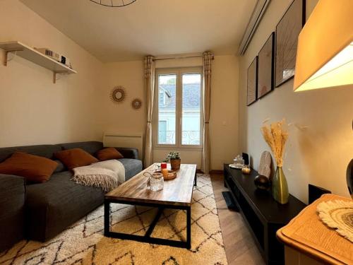 un salon avec un canapé et une table basse dans l'établissement T3 cinéma - Centre historique, bord de Loire, à Tours