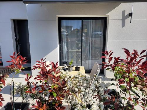 a group of plants in front of a building at villa les lavandes in Saint-Alban