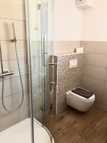 a bathroom with a toilet and a glass shower at Apartments Kamp Podgrad Vransko in Vransko