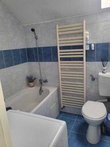 a bathroom with a toilet and a bath tub at Alina apartaments in Sibiu