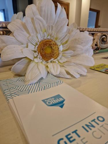 Fotografie z fotogalerie ubytování Camere Le Margherite v destinaci Olbia