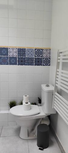 La salle de bains est pourvue de toilettes blanches et de carrelage bleu et blanc. dans l'établissement APPARTEMENT JARDIN, à Parc Saint-Maur