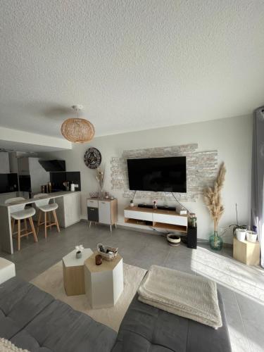 een woonkamer met een tv aan een bakstenen muur bij Atmosphère Cosy de 50m2 in Castelnau-le-Lez