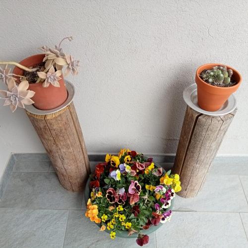 three flower pots sitting on wooden posts with a bowl of flowers at SANTINO'S HOUSE in Peveragno