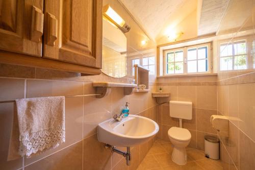 a bathroom with a sink and a toilet at The Ultimate Escape - traditional cottage & private pool in Selca