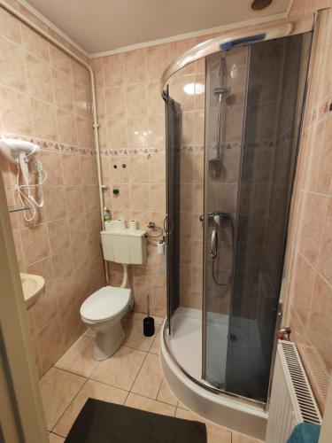 uma casa de banho com um chuveiro, um WC e um lavatório. em Agroturystyka Elżbieta i Juliusz em Muszyna