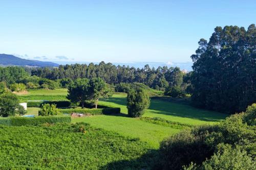 an aerial view of a green field with trees at BARREIROS RUA Vila in Barreiros