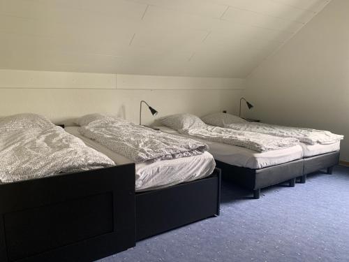 um grupo de três camas num quarto em de Vinkenborg nabij Winterberg em Winterberg