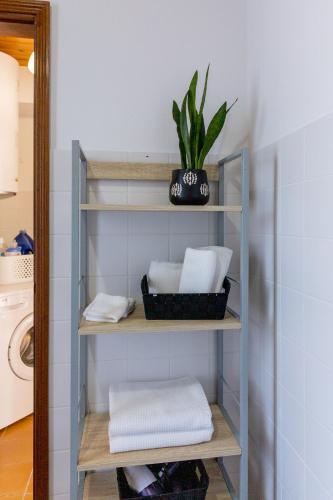 a shelf with towels and a plant in a bathroom at Casa do Furtadinho in Madalena
