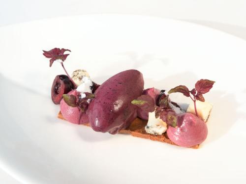 a piece of food with radishes on a white plate at Wellness Hotel Stoos in Stoos