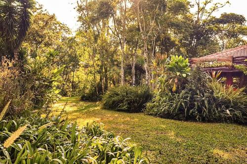 a garden with plants and a house in the background at ApartCasa completo para até 4 próx. Templo Budista in Três Coroas