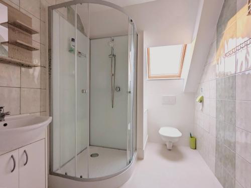 a bathroom with a shower and a sink and a toilet at Apartmány u Bernardů in Stožec