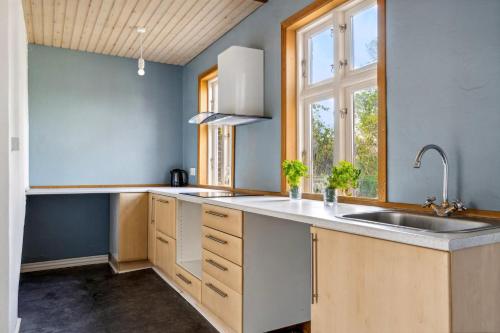une cuisine avec un évier et une fenêtre dans l'établissement Town House in Fuglebjerg, à Fuglebjerg