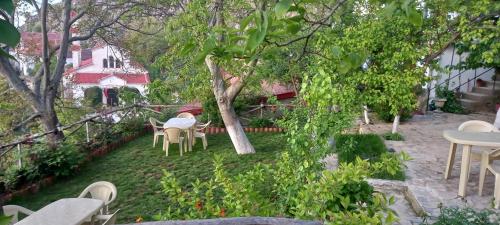 a garden with chairs and tables and a tree at ROLEO Guest House in Lin