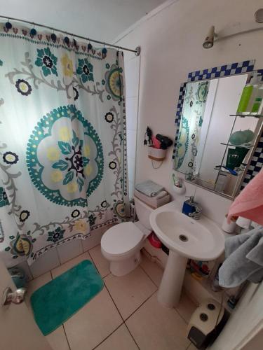La salle de bains est pourvue de toilettes, d'un lavabo et d'un rideau de douche. dans l'établissement Nova Vida, à Santiago