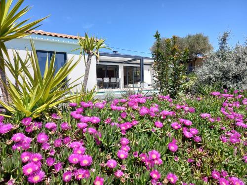 un jardin avec des fleurs roses en face d'une maison dans l'établissement villa contemporaine de charme avec grande piscine, au Beausset