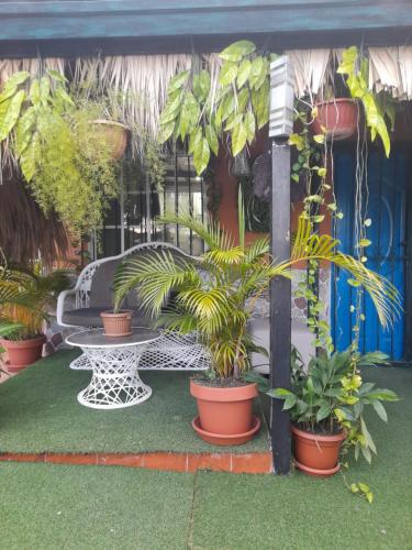 un patio con una mesa y un montón de plantas en Nido de Amor, en Pantoja