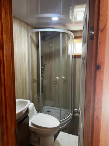 uma casa de banho com um chuveiro, um WC e um lavatório. em Alojamiento Rústico Belloto 4 em Quilpué
