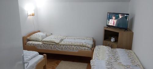 a small room with two beds and a tv at Apartmani Doksas Degurić in Belić