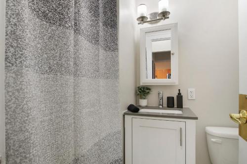uma casa de banho com uma cortina de chuveiro e um lavatório em 1BR Tranquil Hyde Park Apartment - Harper 202 & 402 rep em Chicago