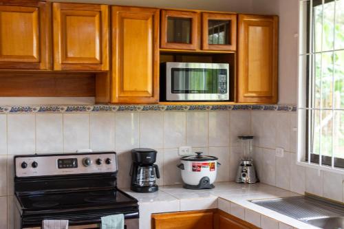 a kitchen with a stove and a microwave at Casa Roble Fortuna in Fortuna