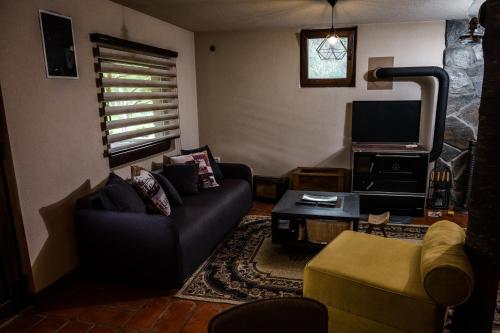 a living room with a couch and a tv at Dedin Drinski Dom in Bajina Bašta