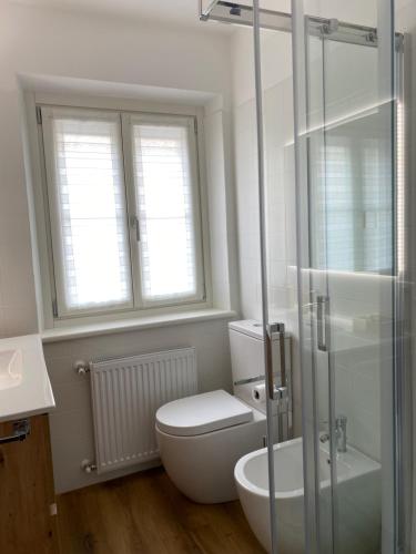 a bathroom with a toilet and a glass shower at Appartamento Scaligeri in Venzone