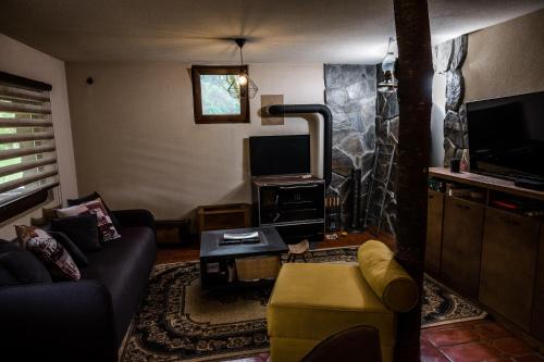 a living room with a couch and a tv at Dedin Drinski Dom in Bajina Bašta