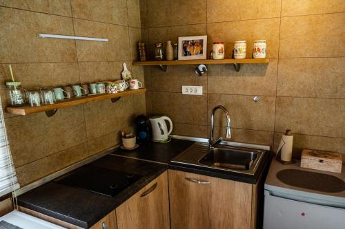 a small kitchen with a sink and a counter top at Dedin Drinski Dom in Bajina Bašta