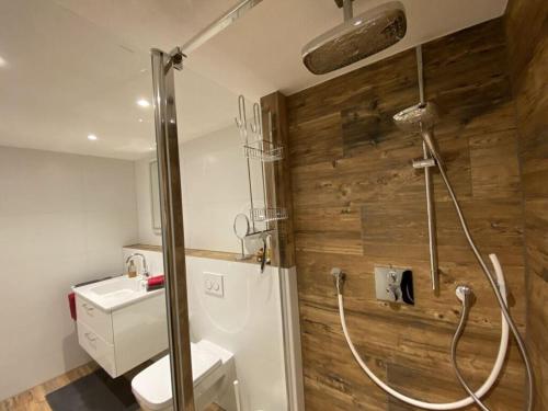 a bathroom with a shower with a toilet and a sink at Holiday apartment Kassler in Feldberg