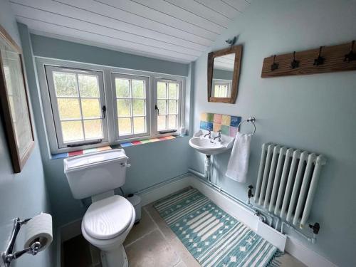 uma casa de banho com um WC branco e um lavatório. em The Cottage, Marlow em Buckinghamshire